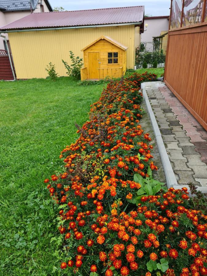Rodzinny Apartament Na Kaszubach Brusy Ngoại thất bức ảnh