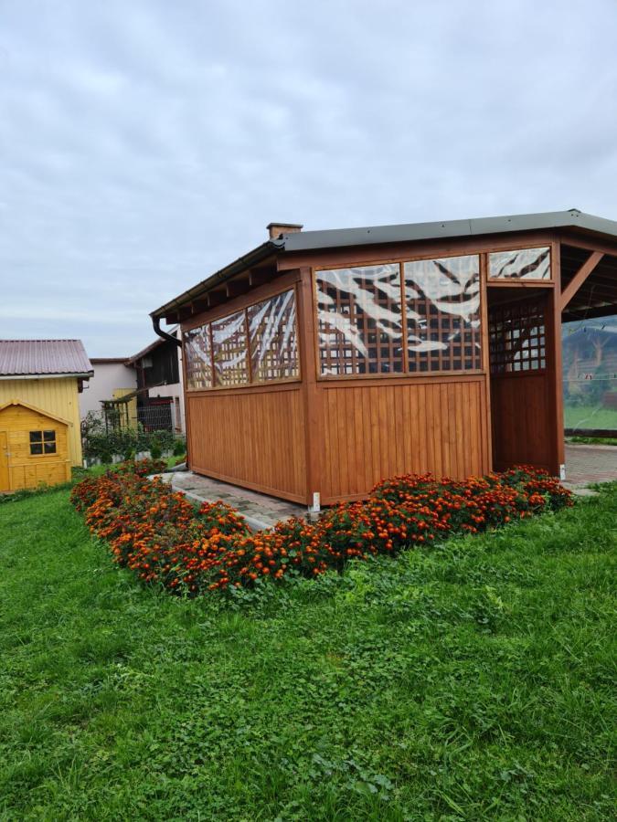 Rodzinny Apartament Na Kaszubach Brusy Ngoại thất bức ảnh