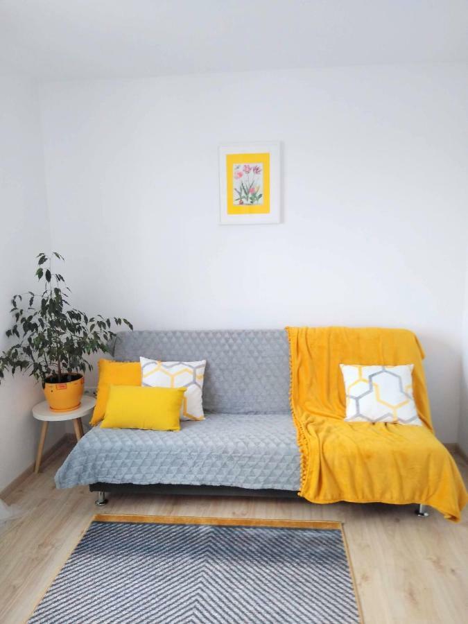 Rodzinny Apartament Na Kaszubach Brusy Ngoại thất bức ảnh